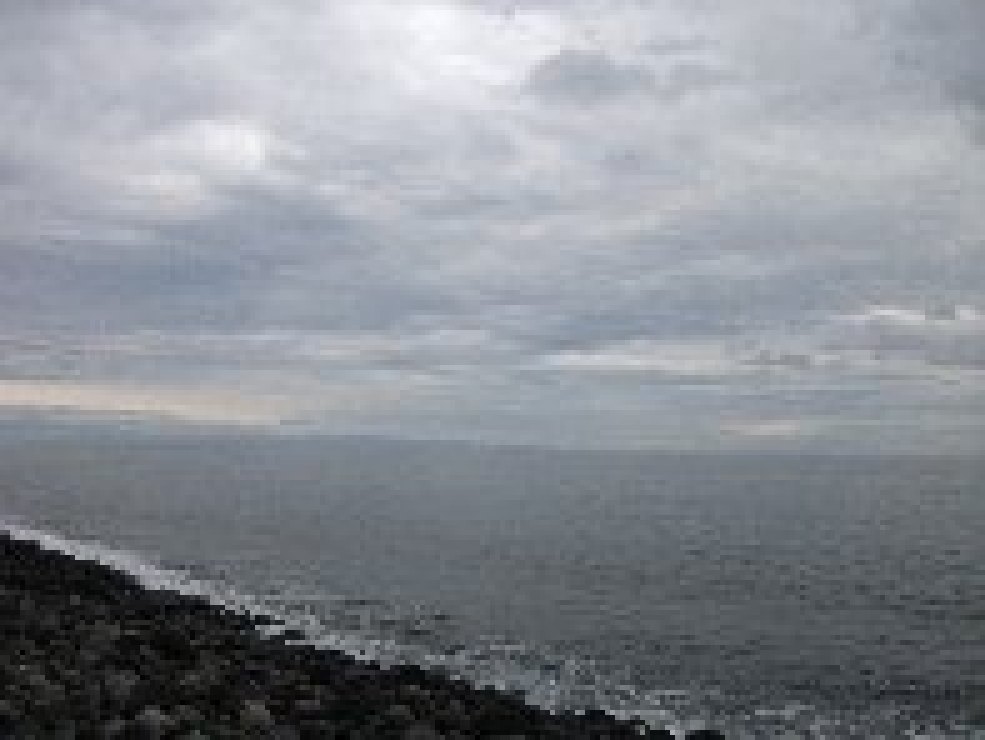 aiola-20101226 016